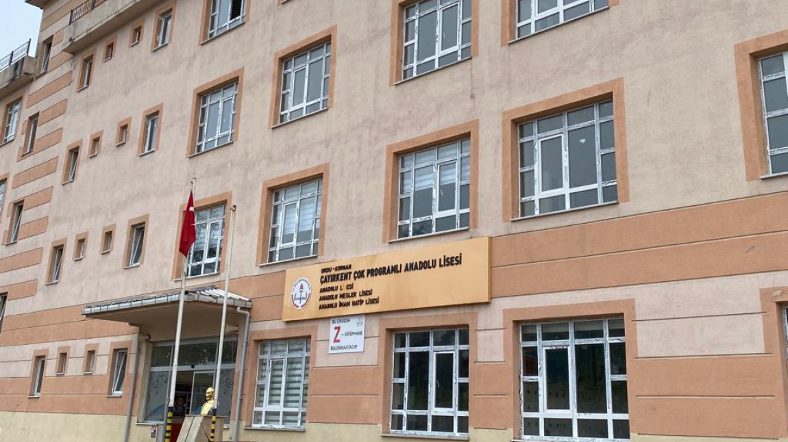 Çayırkent Çok Programlı Anadolu Lisesi Fotoğrafı